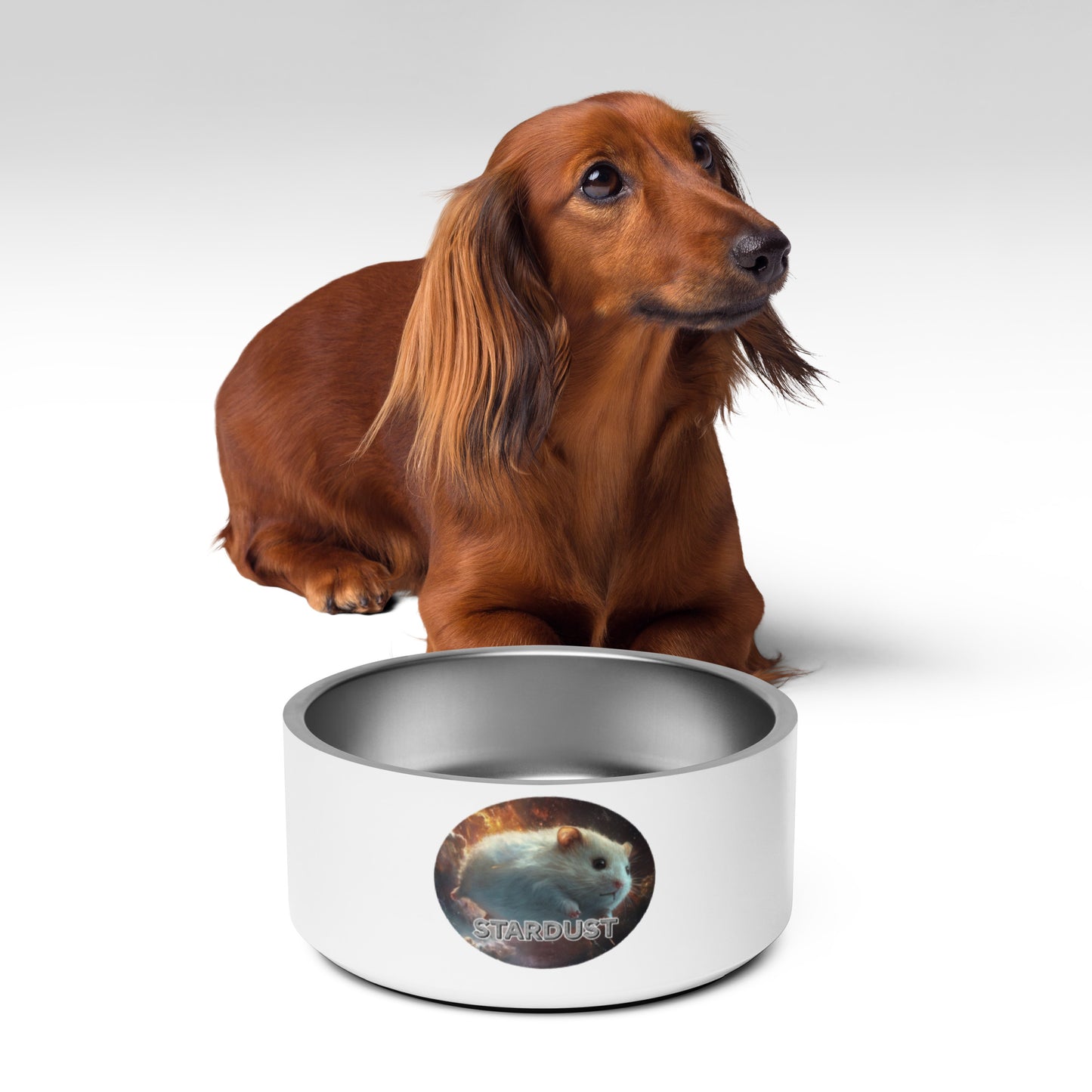 Starlight Pet bowl
