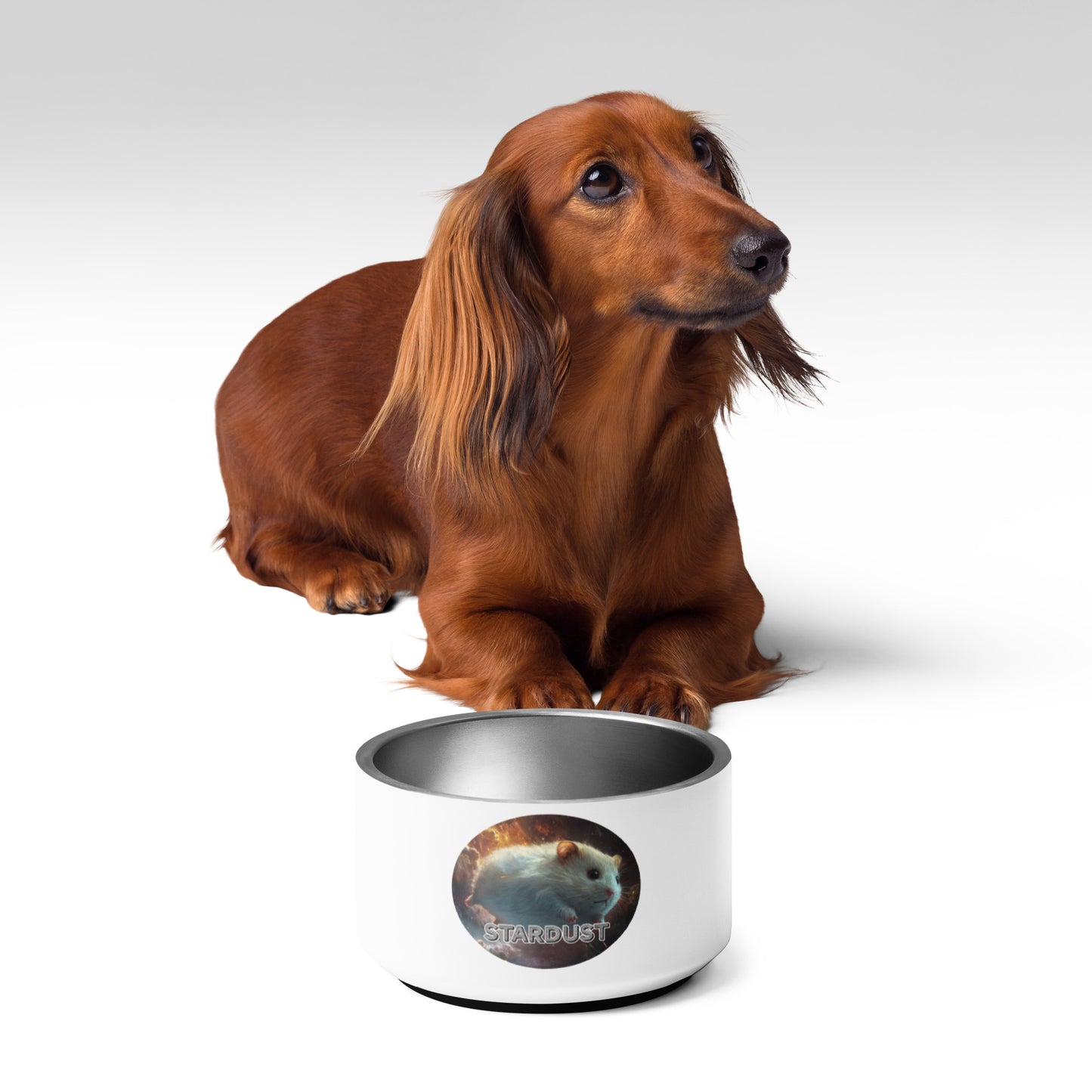 Starlight Pet bowl
