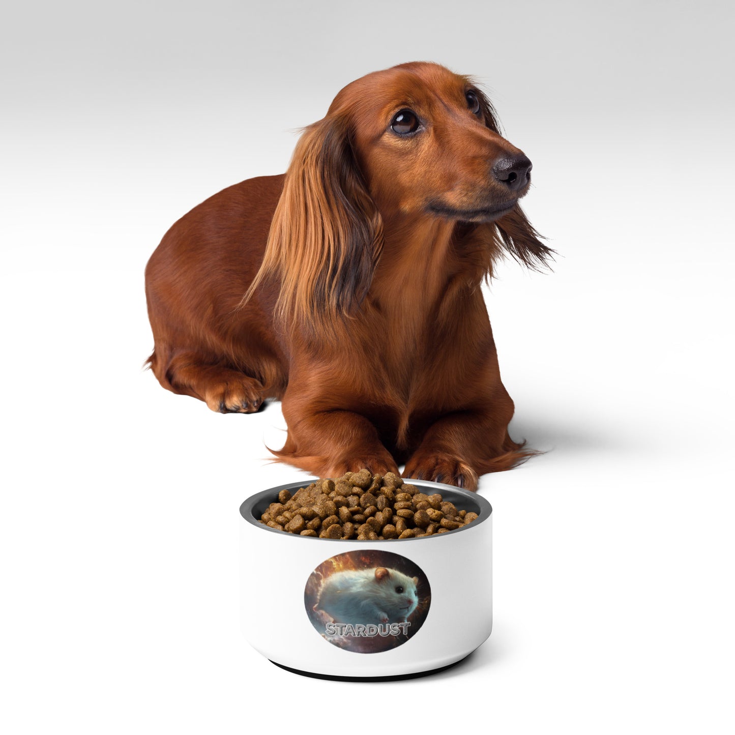 Starlight Pet bowl