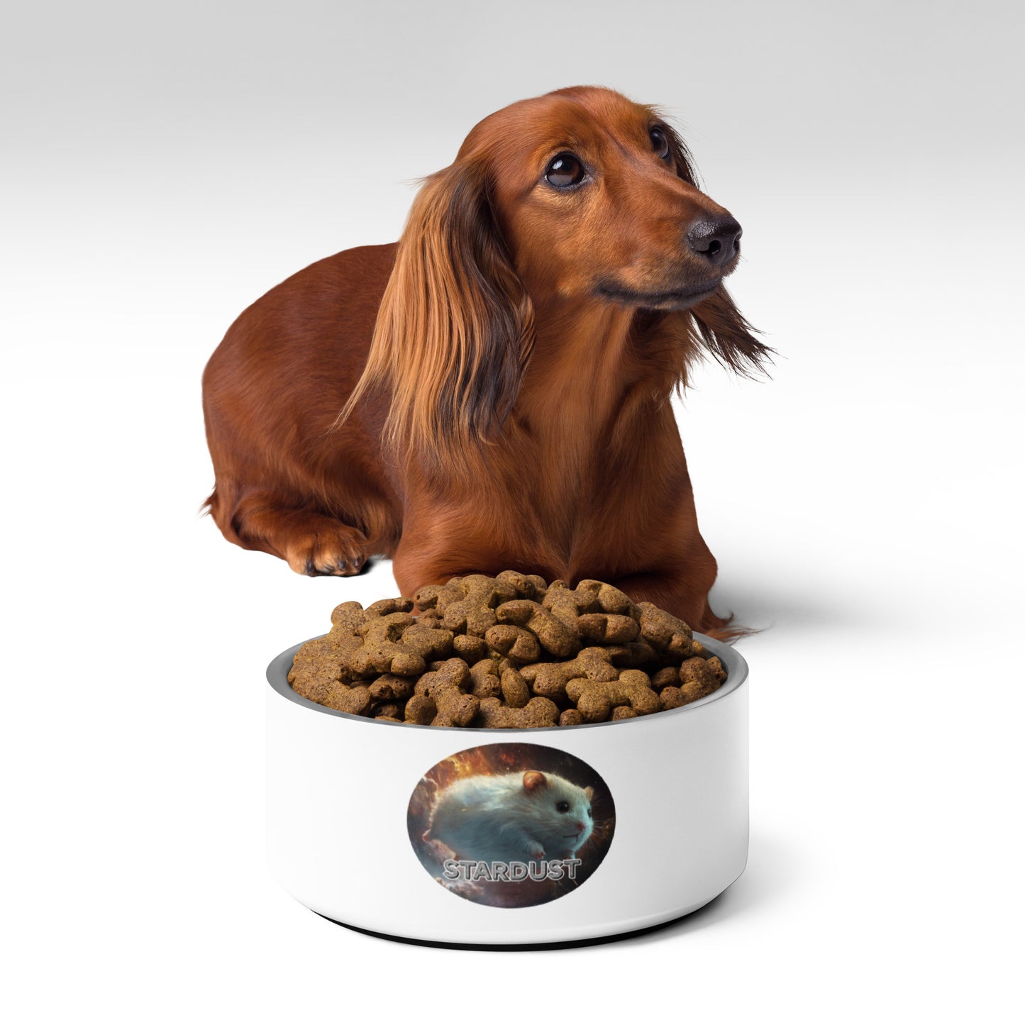 Starlight Pet bowl